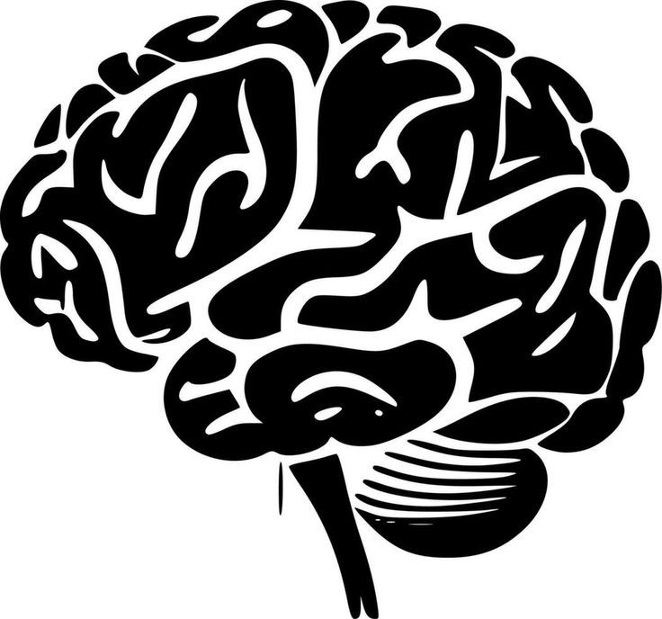 Imagen de cerebro
